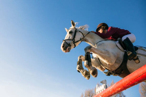 Analizar carreras de caballos