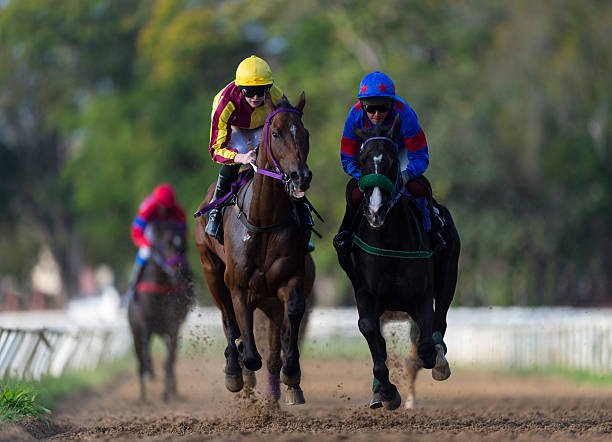 Cómo analizar carreras de caballos