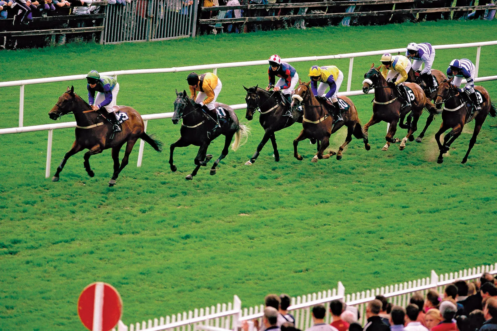 Horse-racing-Ballybrit-Galway-Race-Course-Connaught